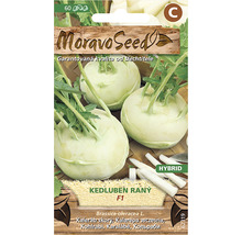 Balenie semien kalerábu