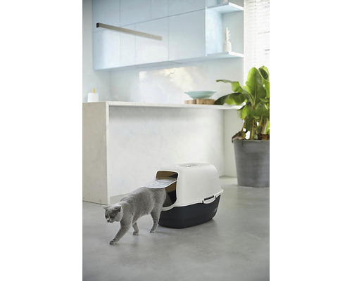 Mačka vstupuje do toalety pre mačky v svetlej miestnosti