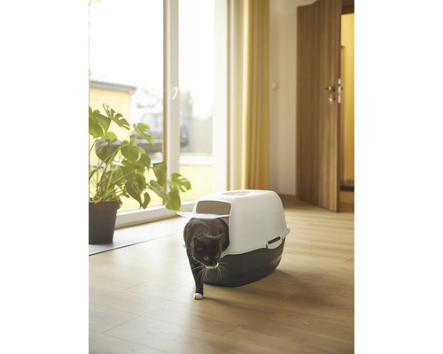 Mačka opúšťa toaletu pre mačky vo svetlej miestnosti