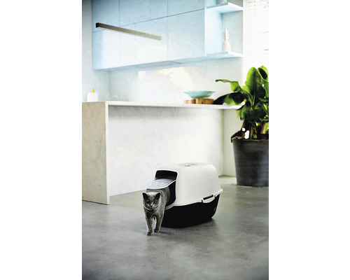 Mačka opúšťa mačaciu toaletu v svetlej miestnosti