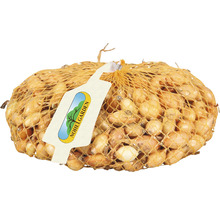 Cibuľa v sieťovom vrecku