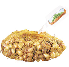 Cibuľky kvetov v sieti s logom Nohelgarden