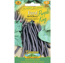 Balenie semien kríčkovej fazule Purple King