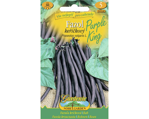 Fazuľa kríčková PURPLE KING Nohel Garden fialová