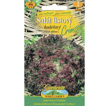Balíček semien Listový šalát kučeravý Crimson