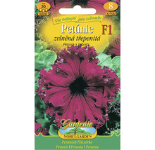 Vrecúško semien petúnie F1 hybrid