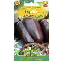 Balenie semien papriky Ingrid pre záhradu
