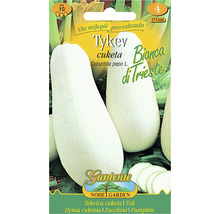 Balíček semien bielej cukety