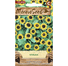 Balenie semien krásky plazivej s logom Moravo Seed
