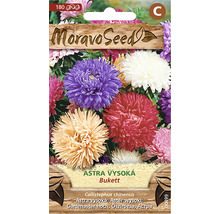 Balenie semien kvetov Moravo Seed Astra vysoká odroda Bukett