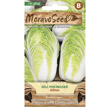 Balenie semien pekinskej kapusty