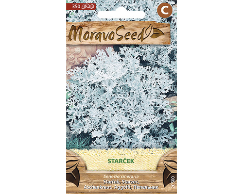 Semená starčeka v sáčkoch so semenami od Moravoseed