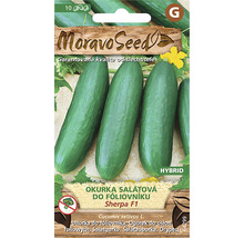 Balenie semien uhoriek pre šalátové uhorky