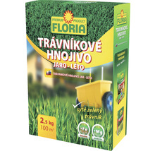 Balenie trávnikového hnojiva na jar a leto, 2,5 kilogramu na 100 metrov štvorcových