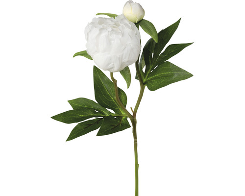 Umelý kvet pivonka 46 cm biela