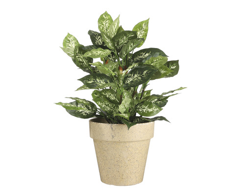Umelá Dieffenbachia v kvetináči