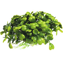 Umelá akvarijná rastlina s malými listami