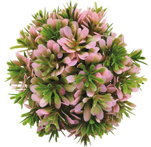 Umelá guľa zo zimostrázu s ružovými a zelenými listami