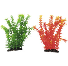 Dekoratívne akvarijné rastliny, dva kusy