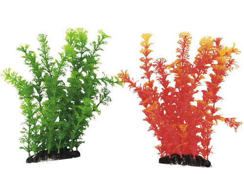 Dekoratívne akvarijné rastliny, dva kusy