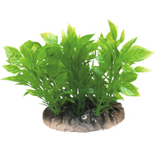 Umelá akváriová rastlina so zelenými listami na kamennom podstavci