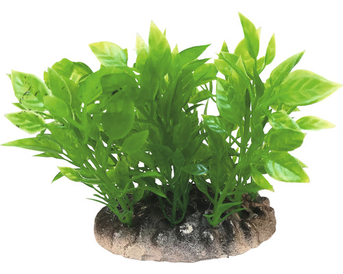 Umelá akváriová rastlina so zelenými listami na kamennom podstavci