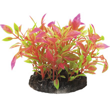 Dekoratívna akvarijná rastlina na kamennom podstavci