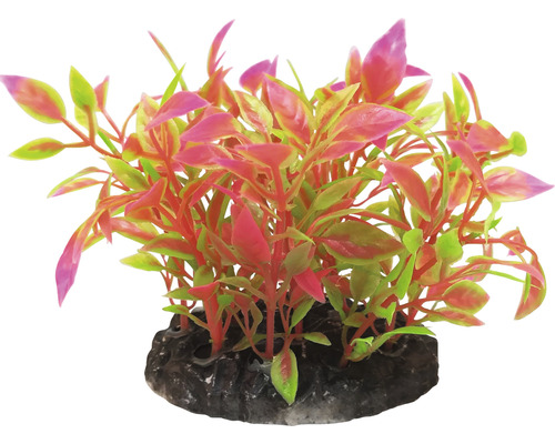 Dekoratívna akvarijná rastlina na kamennom podstavci