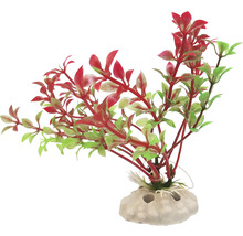Dekoratívna umelá akváriová rastlina s červenými a zelenými listami na podstavci