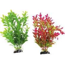 Dve akvarijné rastliny na dekoráciu