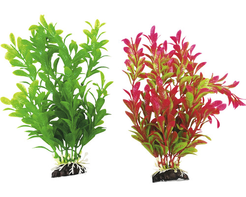 Dve akvarijné rastliny na dekoráciu