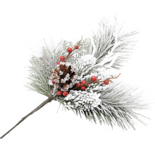 Dekoratívna vetva so šiškou a červenými bobuľami