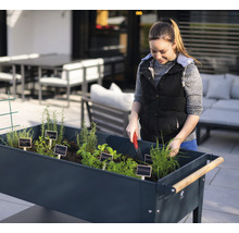 Žena pracuje na záhradnom záhone s bylinkami vonku