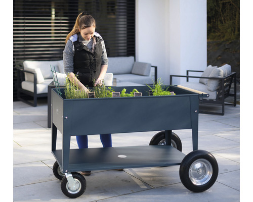 Žena pracuje na mobilnom vyvýšenom záhone s rastlinami na terase.