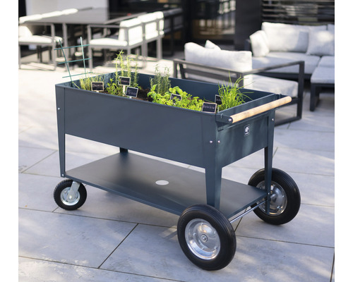 Pojazdný vozík na bylinkovú záhradu s rastlinami a bylinkami