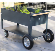 Vyvýšený záhon na kolieskach s bylinkami a drevenou rukoväťou