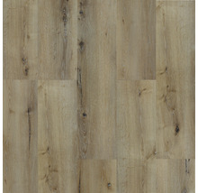 Vinylová podlaha lepená buk Dry Back dielce Native Oak+ 91 x 15 cm balenie 15 ks