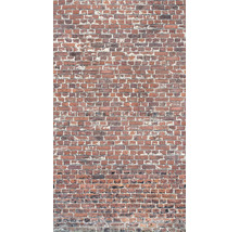 Fototapeta vliesová na stenu Tehly tehlový múr A39201 1,59x2,80 m One roll Murals Grandeco