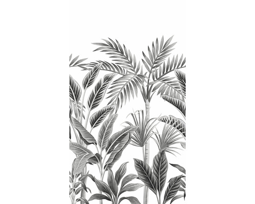 Fototapeta vliesová na stenu Tropické listy palmy A40801 159x280 cm One roll Murals Grandeco