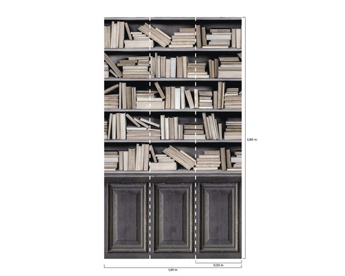 Tapeta s motívom knižnice a zobrazením kníh a skrine