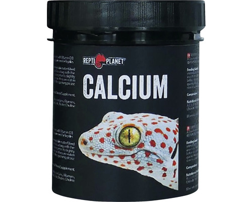 Doplnkové krmivo pre plazy Repti Planet Calcium 125 g