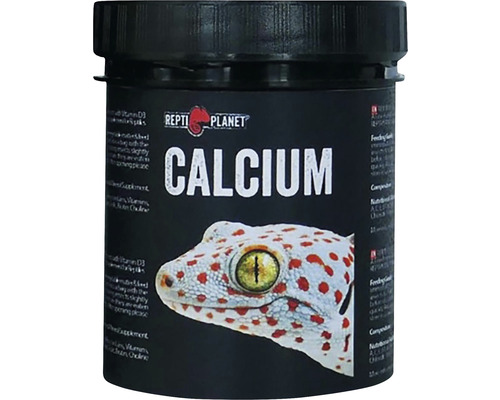 Doplnkové krmivo pre plazy Repti Planet Calcium 125 g Repti Planet Vápnik pre plazy