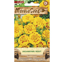 Balenie semien nízkeho aksamitníku