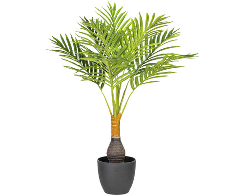 Umelá palma Kencie Howea 70 cm v čiernom plastovom kvetináči 14x12 cm