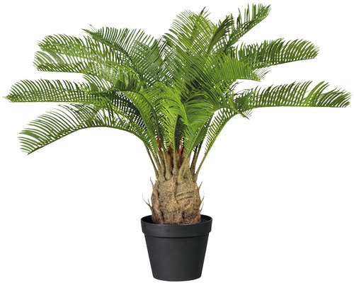 Umelá rastlina cykas cycas revoluta 60 cm zelená v plastovom kvetináči so zeminou 15x13 cm