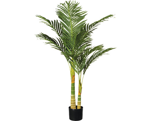 Umelá palma areka Dypsis lutescens 2 kmene 120 cm v čiernom plastovom kvetináči so zeminou 15 x 13 cm