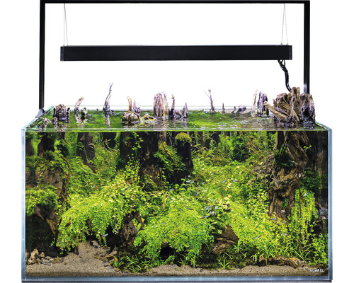 Akvarijní sada AQUAEL UltraScape 90 s LED osvětlením cca 243 l OPTI sklo bez spodní skříňky forest