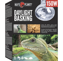 Žiarovka Repti Planet Daylight Basking Spot 150 W