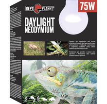 Repti Planet Daylight Neodymium 75 W lampa pre plazy
