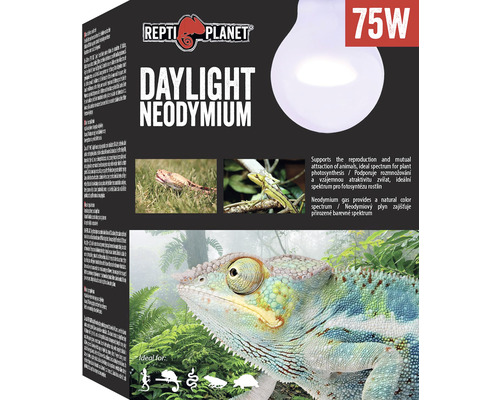 Repti Planet Daylight Neodymium 75 W lampa pre plazy